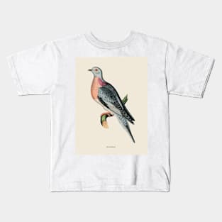 Pigeon Antique Naturalist Illustration Kids T-Shirt